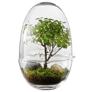 Design House Stockholm Grow Minikasvihuone Xl