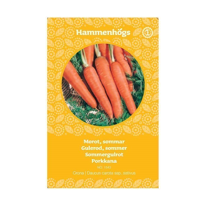 Hammenhögs Siemenpussi Porkkana nantaise