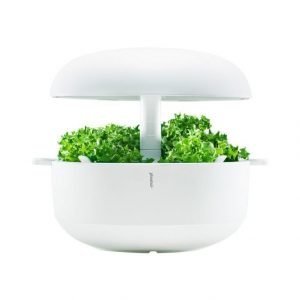 Plantui 6 Smart Garden Sisäpuutarha