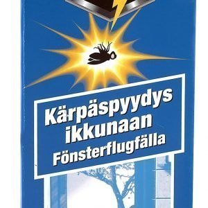 Raid Kärpäspyydys Ikkunaan 8 Kpl