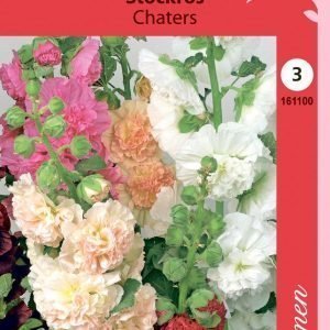 Siemen Alcea Rosea Chaters Tarhasalkoruusu Sekoite