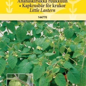 Siemen Ananaskirsikka Little Lantern