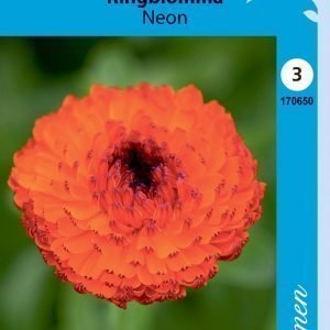 Siemen Calendula Officinalis Neon Tarhakehäkukka