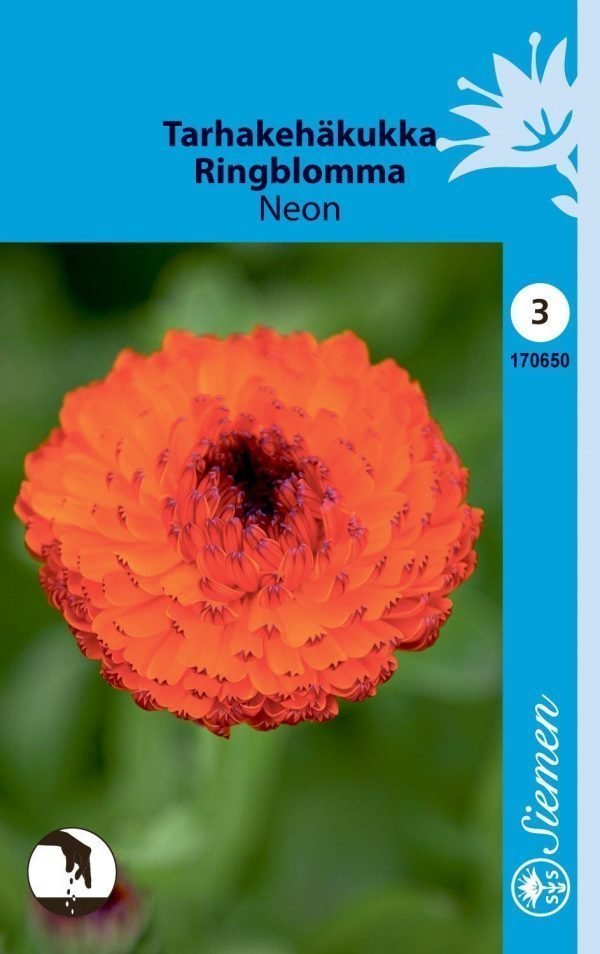 Siemen Calendula Officinalis Neon Tarhakehäkukka