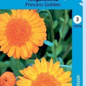 Siemen Calendula Officinalis Prinzess Golden Tarhakehäkukka