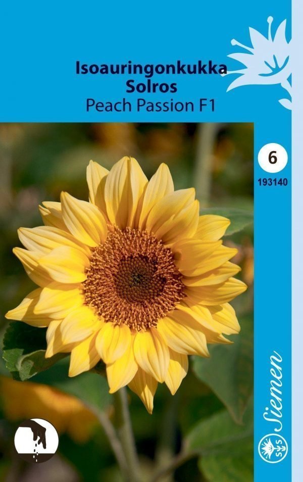 Siemen Isoauringonkukka Peach Passion F1