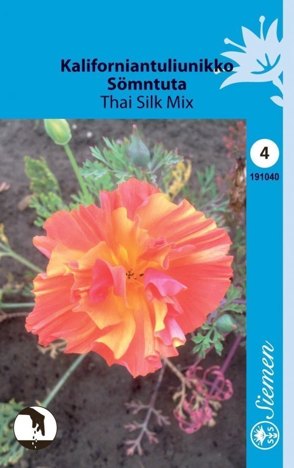 Siemen Kaliforniantuliunikko Thai Silk Mixed