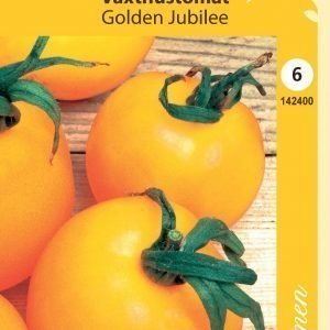 Siemen Kh-Tomaatti Golden Jubilee
