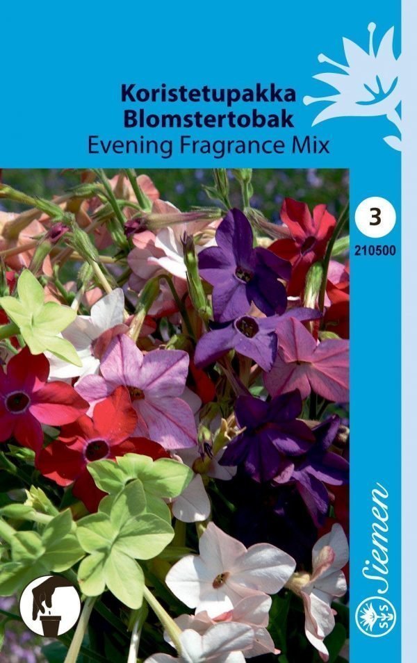 Siemen Koristetupakka Evening Fragrance