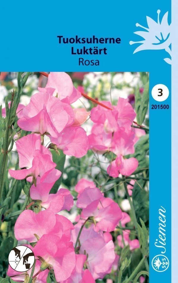 Siemen Lathyrus Odoratus Rosa Tuoksuherne