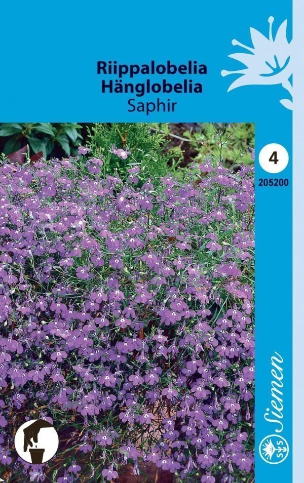 Siemen Lobelia Erinus Pendula Saphir Riippalobelia Saphir