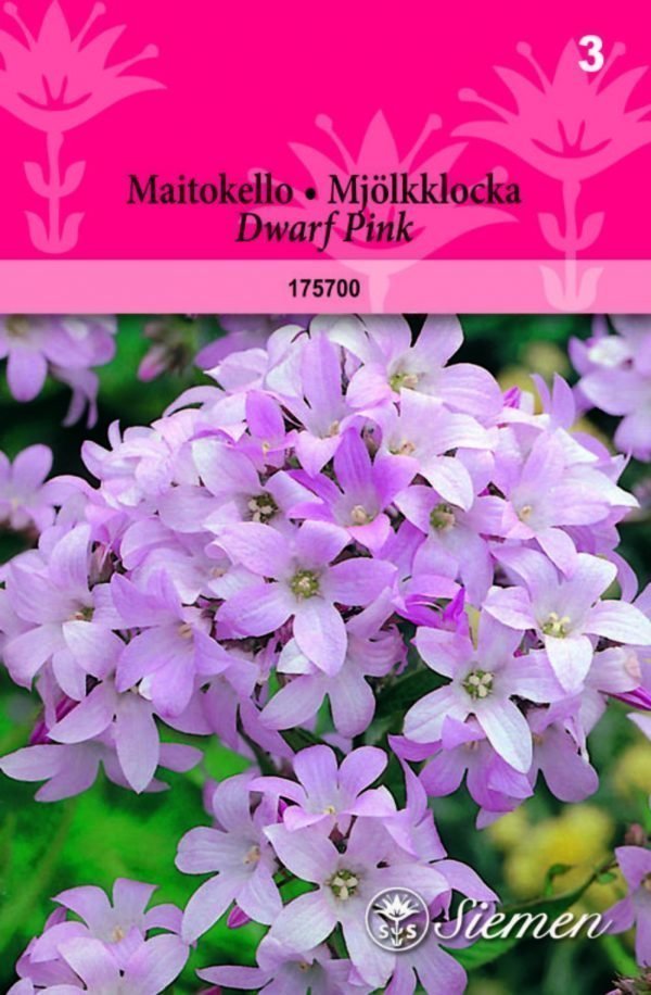 Siemen Maitokello Dwarf Pink