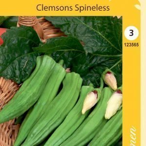 Siemen Okra Clemsons Spineless