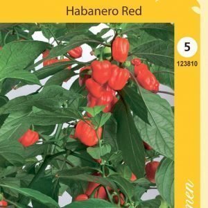 Siemen Paprika Habanero