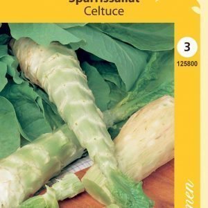 Siemen Parsasalaatti Celtuce