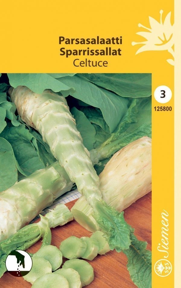 Siemen Parsasalaatti Celtuce