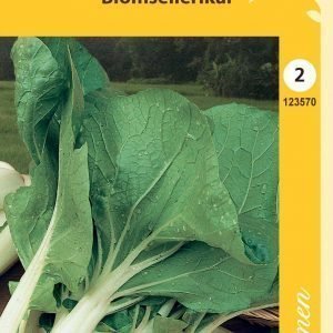 Siemen Pinaattikiinankaali Pak-Choi