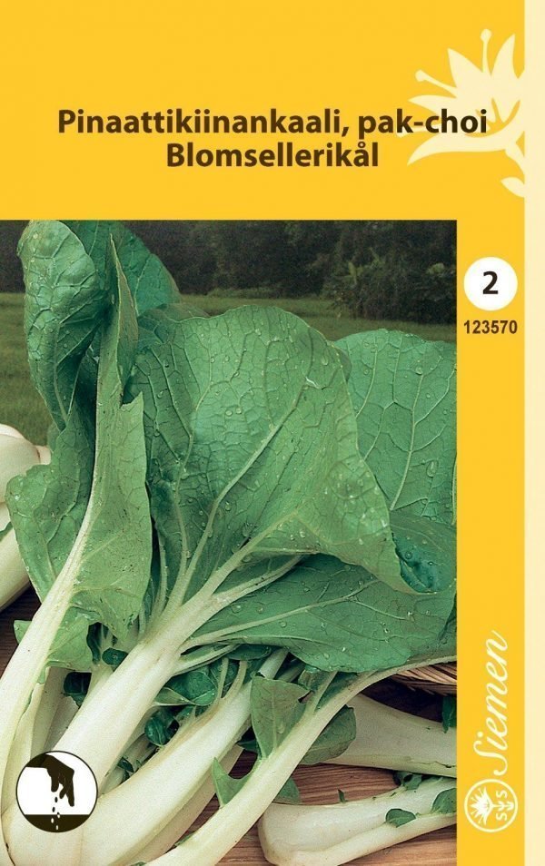 Siemen Pinaattikiinankaali Pak-Choi