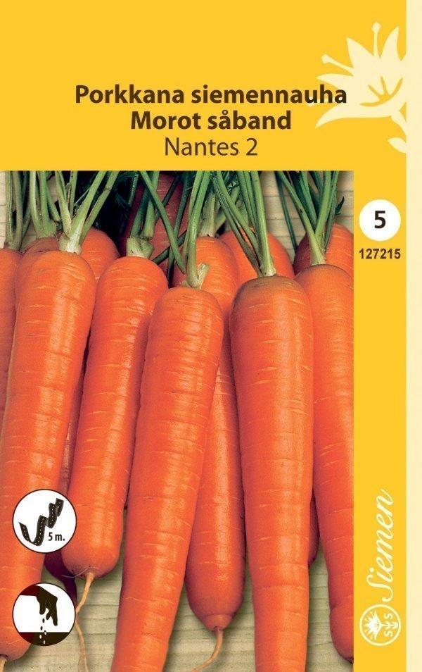 Siemen Porkkana Nantes 2 Kylvön. 5m