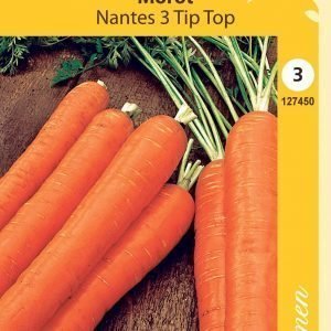 Siemen Porkkana Nantes 3 Tip Top