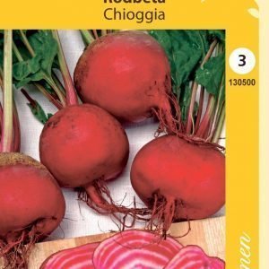 Siemen Punajuuri Chioggia