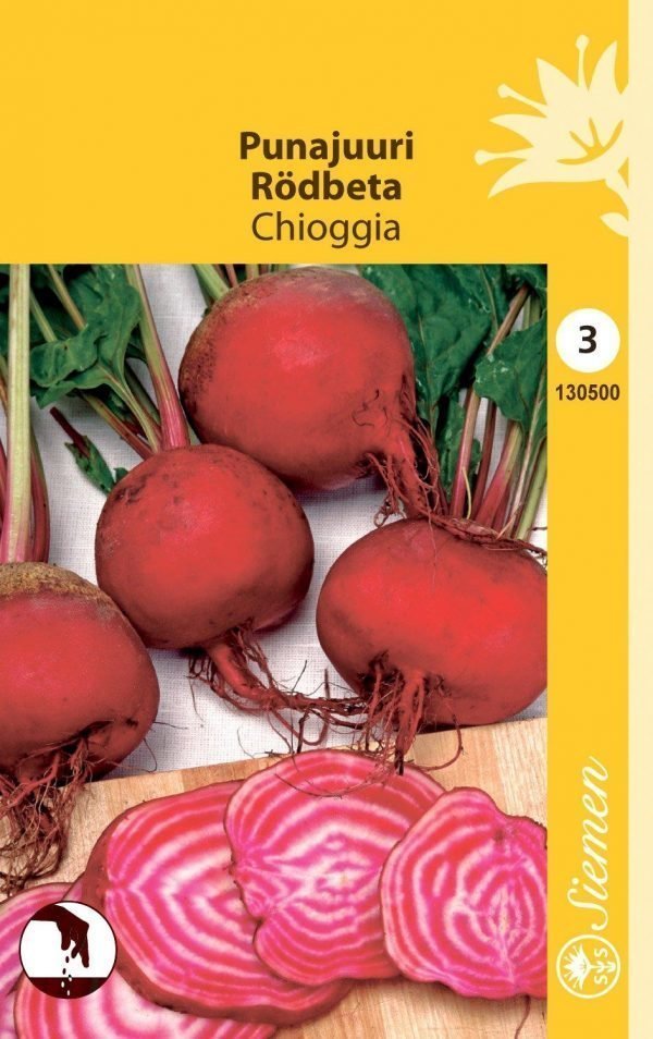 Siemen Punajuuri Chioggia