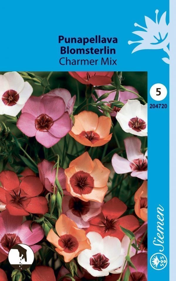 Siemen Punapellava Charmer Mix