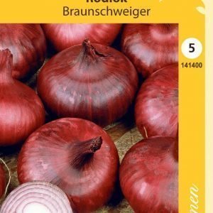 Siemen Punasipuli Braunschweiger