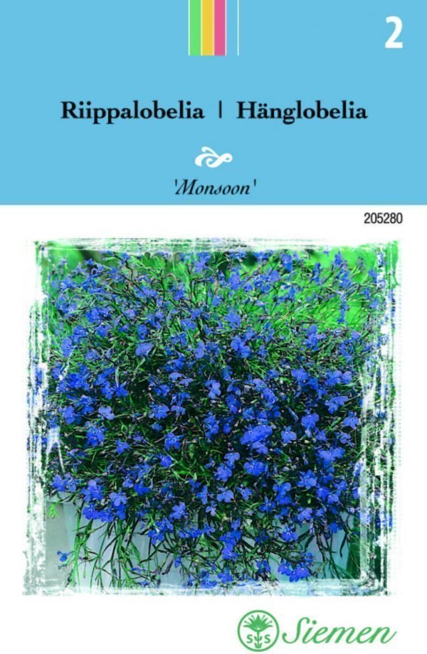 Siemen Riippolobelia Monsoon