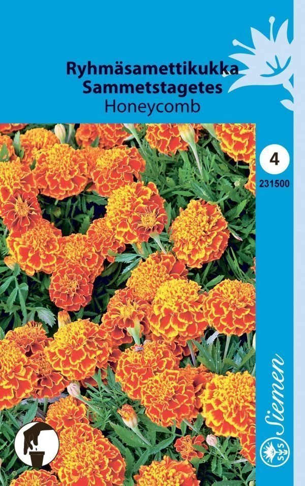 Siemen Samettikukka Honeycomb
