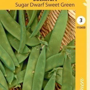 Siemen Sugar Dwarf Sweet Green Sokeriherne