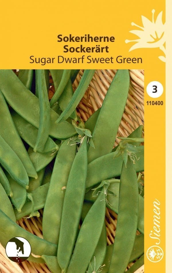 Siemen Sugar Dwarf Sweet Green Sokeriherne