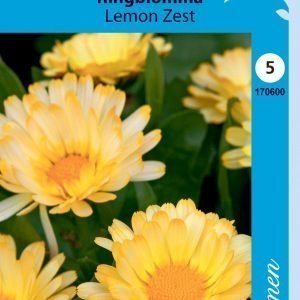 Siemen Tarhakehäkukka Lemon Zest