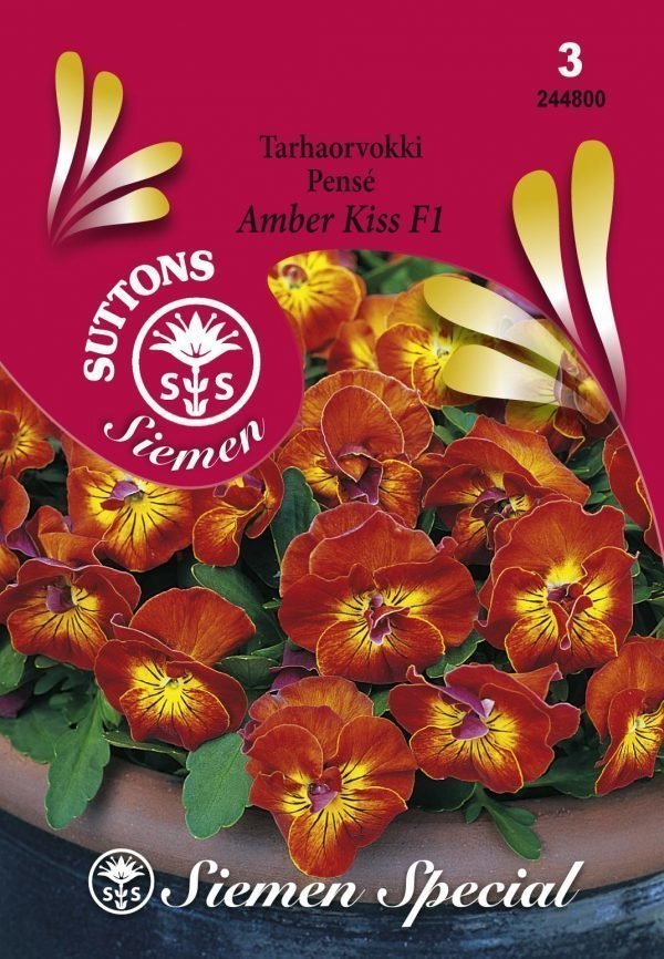 Siemen Tarhaorvokki Amber Kiss F1