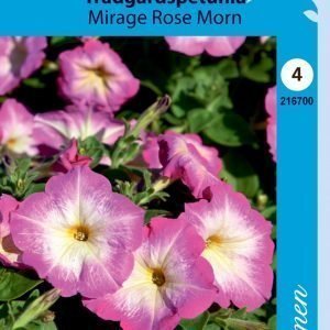 Siemen Tarhapetunia Mirage Rose Morn