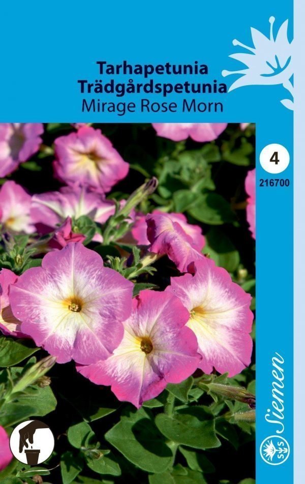 Siemen Tarhapetunia Mirage Rose Morn