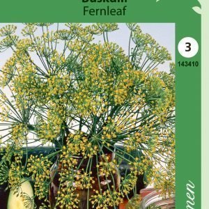 Siemen Tilli Pensastilli Fernleaf