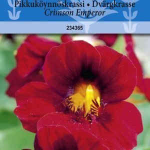 Siemen Tropaeolum Minus Crimson Emperor Pikkuköynnöskrassi