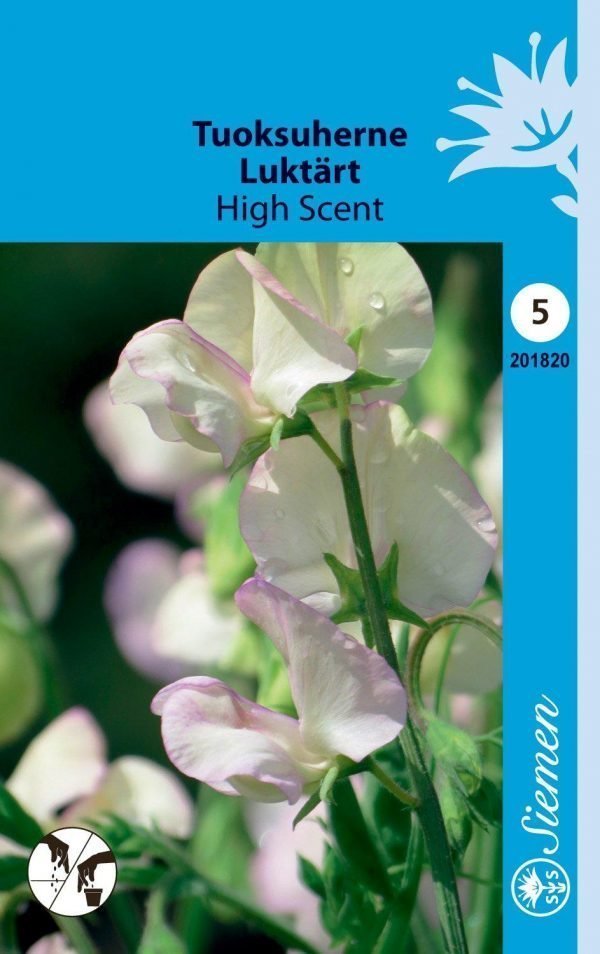 Siemen Tuoksuherne High Scent