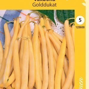 Siemen Vahapapu Golddukat