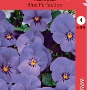 Siemen Viola Cornuta Blue Perfection Sarviorvokki