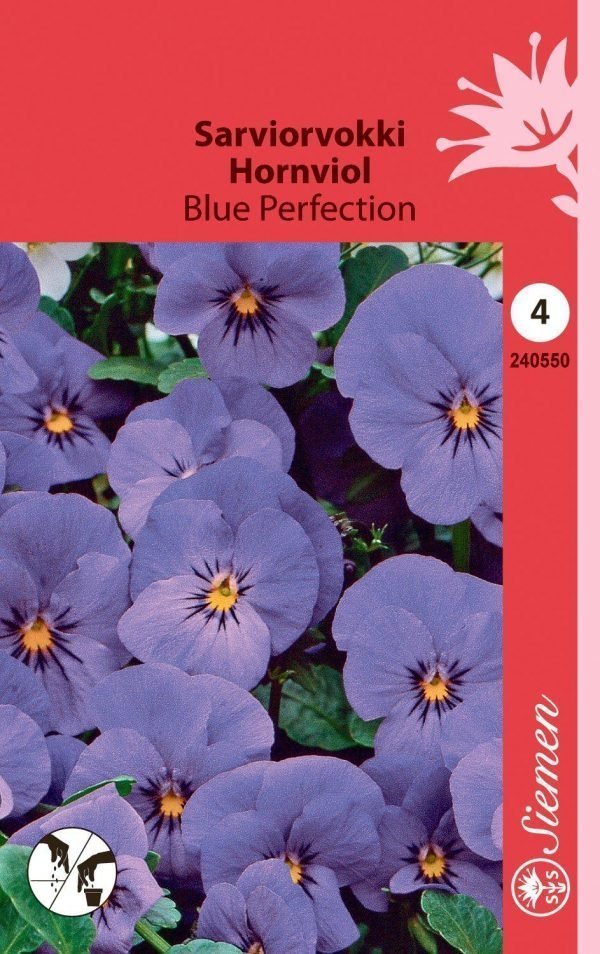 Siemen Viola Cornuta Blue Perfection Sarviorvokki