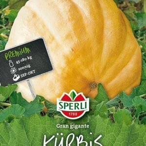 Sperli Gran Gigante Jättiläiskurpitsa