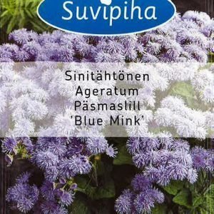 Suvipiha Ageratum Blue Mink Sinitähtönen