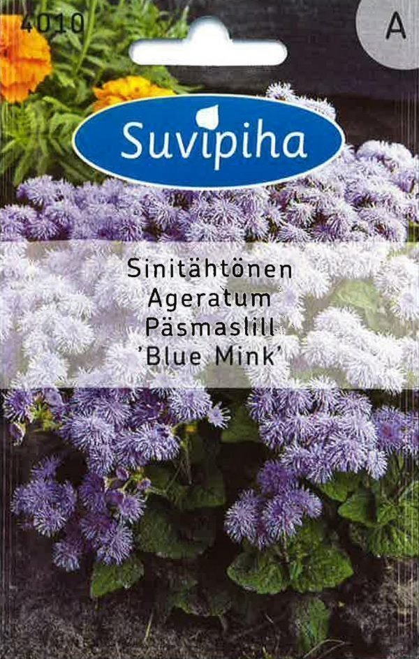 Suvipiha Ageratum Blue Mink Sinitähtönen