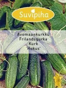 Suvipiha Avomaankurkku Hokus