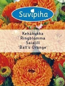 Suvipiha Calendula Balls Orange Kehäkukka