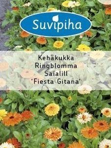 Suvipiha Calendula Fiesta Gitana Kehäkukkaseos