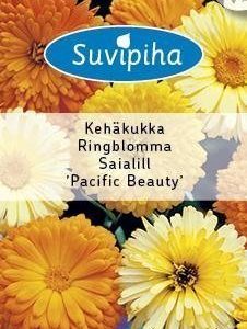 Suvipiha Calendula Officinalis Kehäkukkaseos