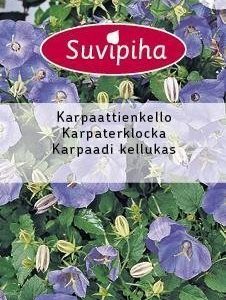 Suvipiha Campanula